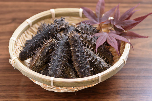 不思議な海の生き物「なまこ」とは？